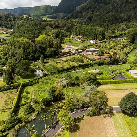 Furnas Nest *
